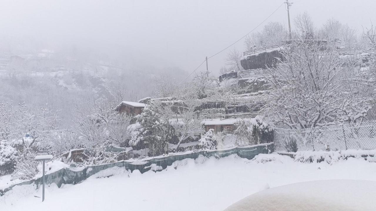 Casa Ramus Valle Camonica A 30 Km Dal Passo Tonale Edolo Exterior foto